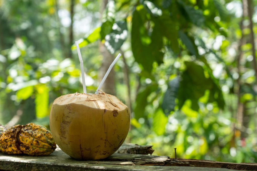 A selective focus shot of coconut water with a blurred background