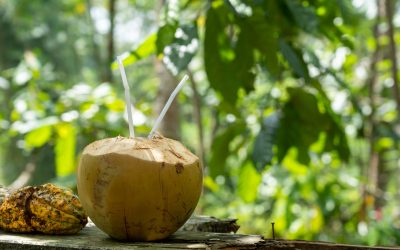 A selective focus shot of coconut water with a blurred background
